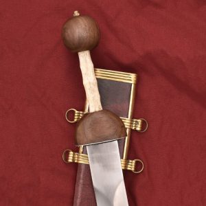 Gladius - Le Pompeii